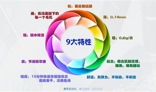 賽思美 以全方位技術(shù)支持賦能合作共贏，引領(lǐng)技術(shù)開發(fā)新篇章